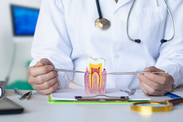 Best Emergency Dentist for Knocked-Out Tooth in Munsons Corners, NY